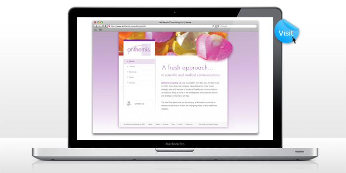 Anthemis Consulting site - web design 4